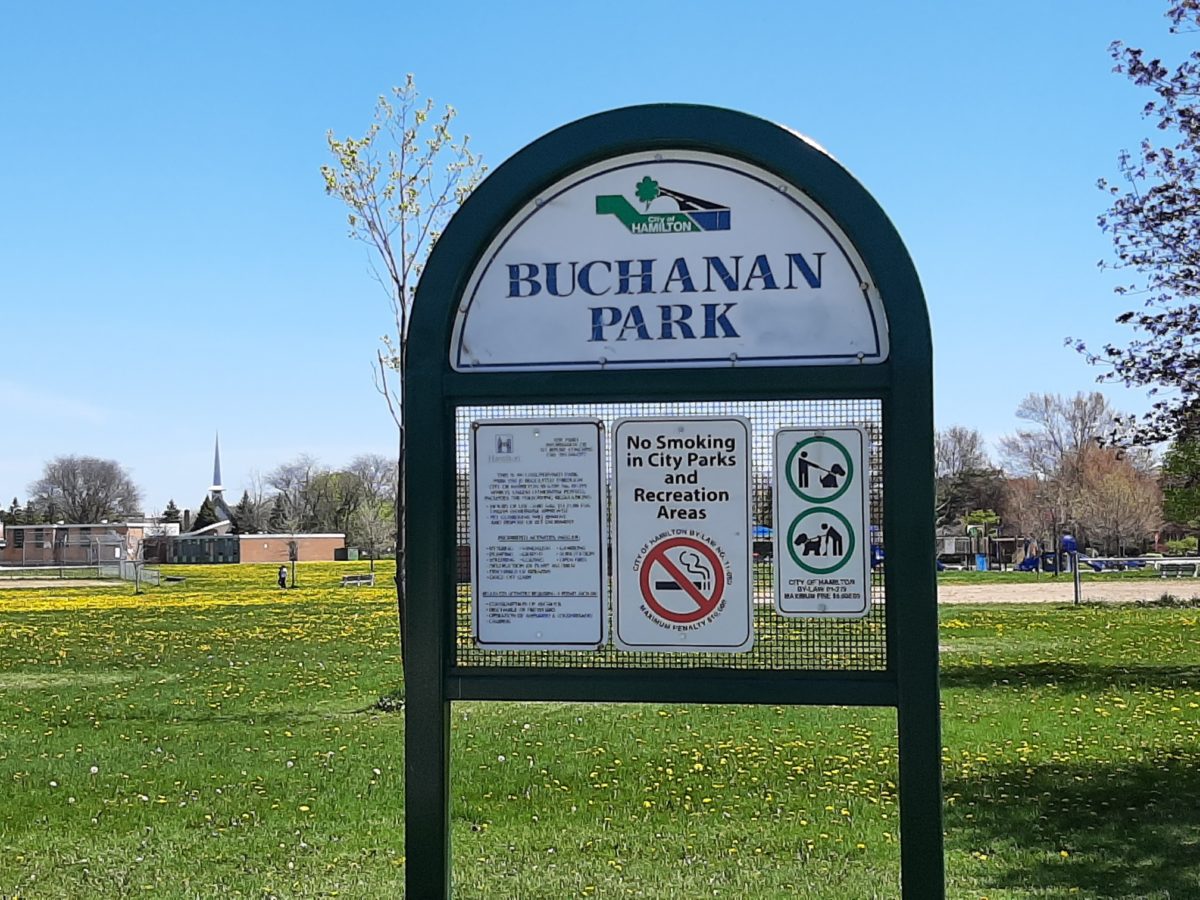 Buchanan Park & Bruce Park Updates