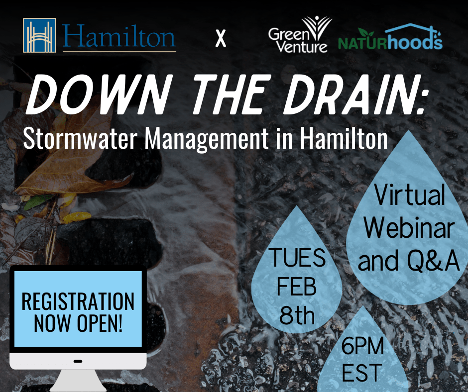Down the Drain: Stormwater management in Hamilton