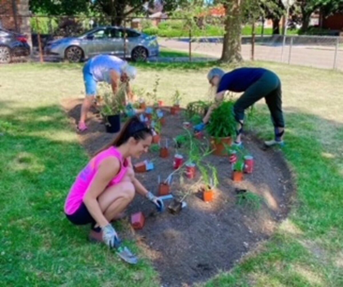 Neighbours add pollinators to Richwill Park landscape