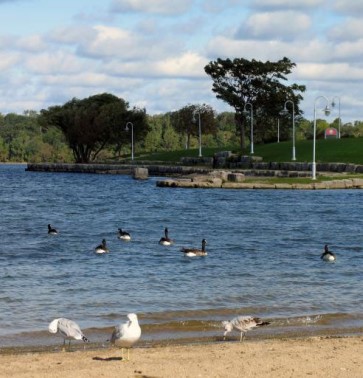 Changes coming to Hamilton’s stormwater fees